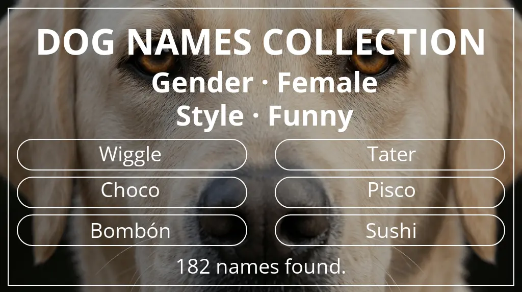 Dog names inspired by female gender and funny style