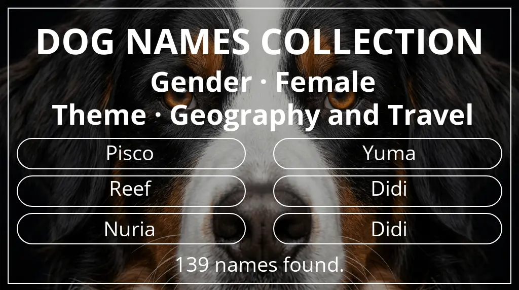 Dog names inspired by female gender and geography and travel theme