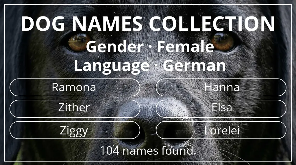 Dog names inspired by female gender and german language