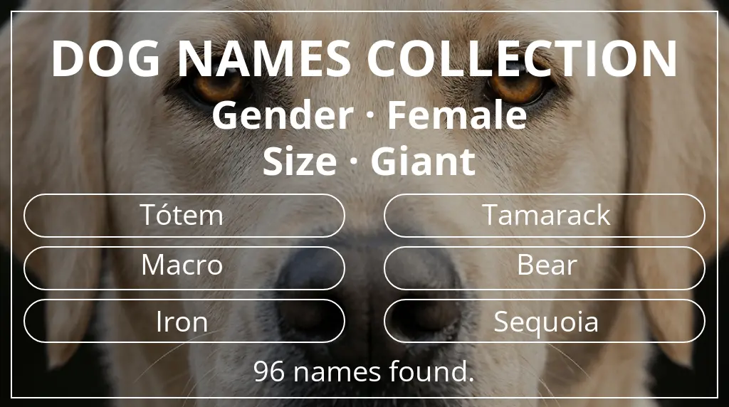 Dog names inspired by female gender and giant size