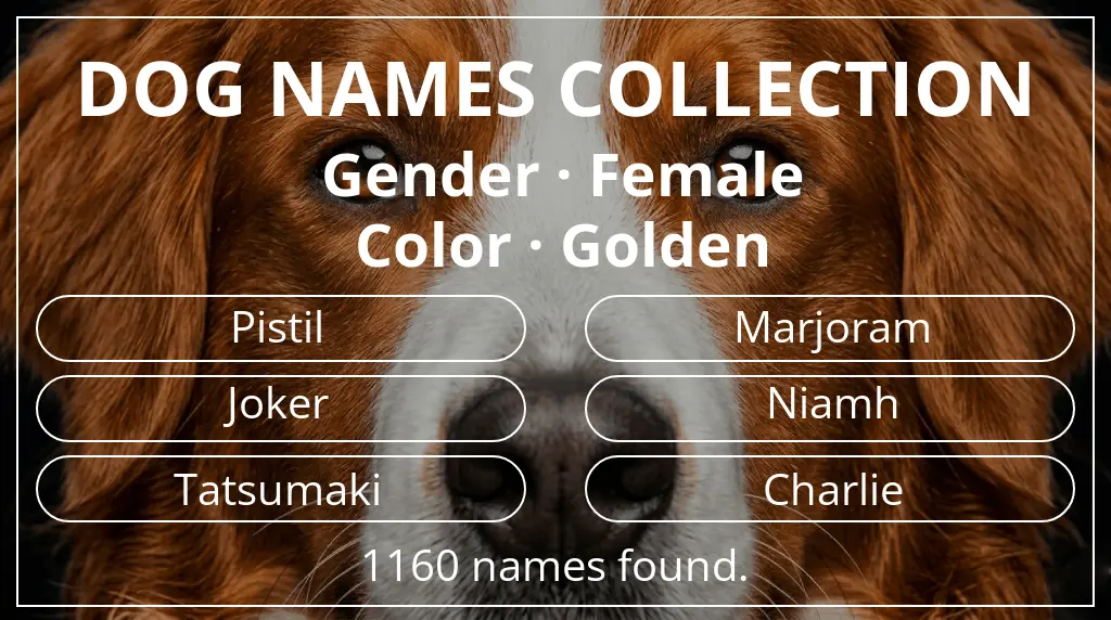 Dog names inspired by female gender and golden color