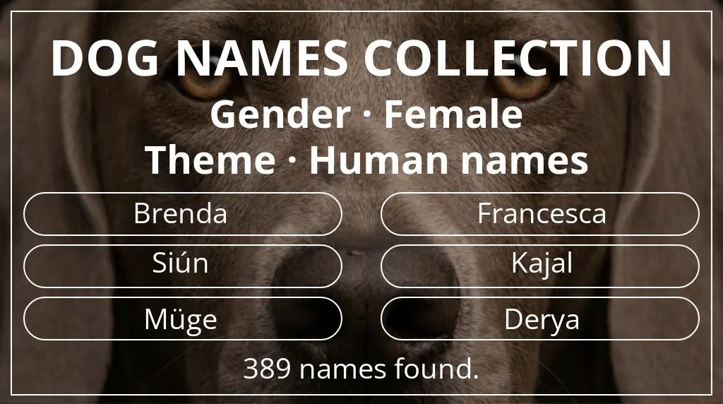 Dog names based on female gender and human names theme