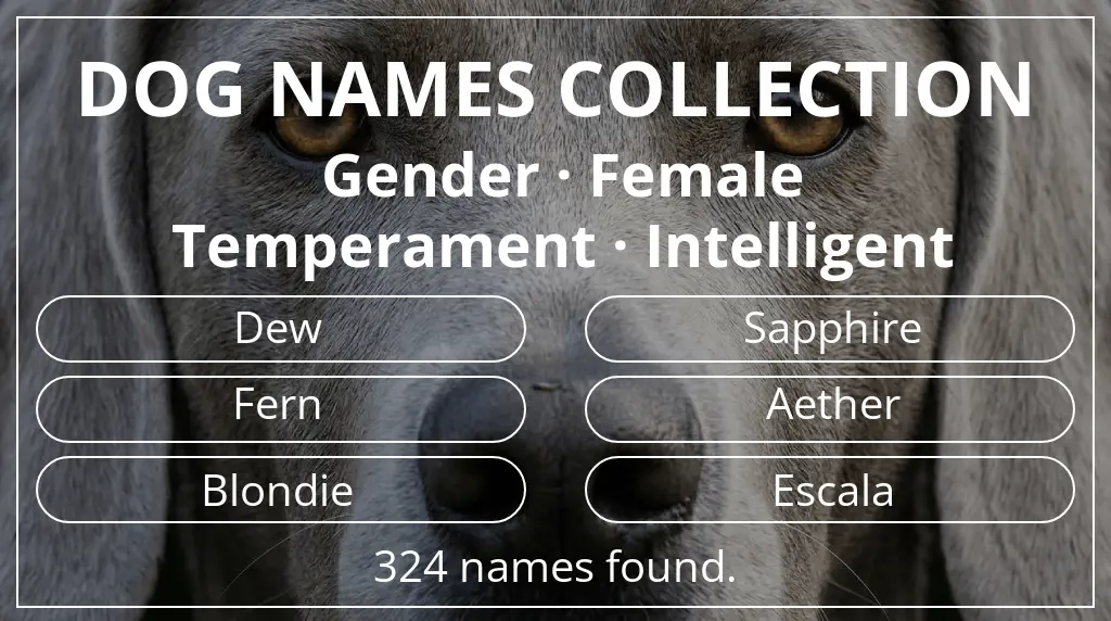 Dog names inspired by female gender and intelligent temperament