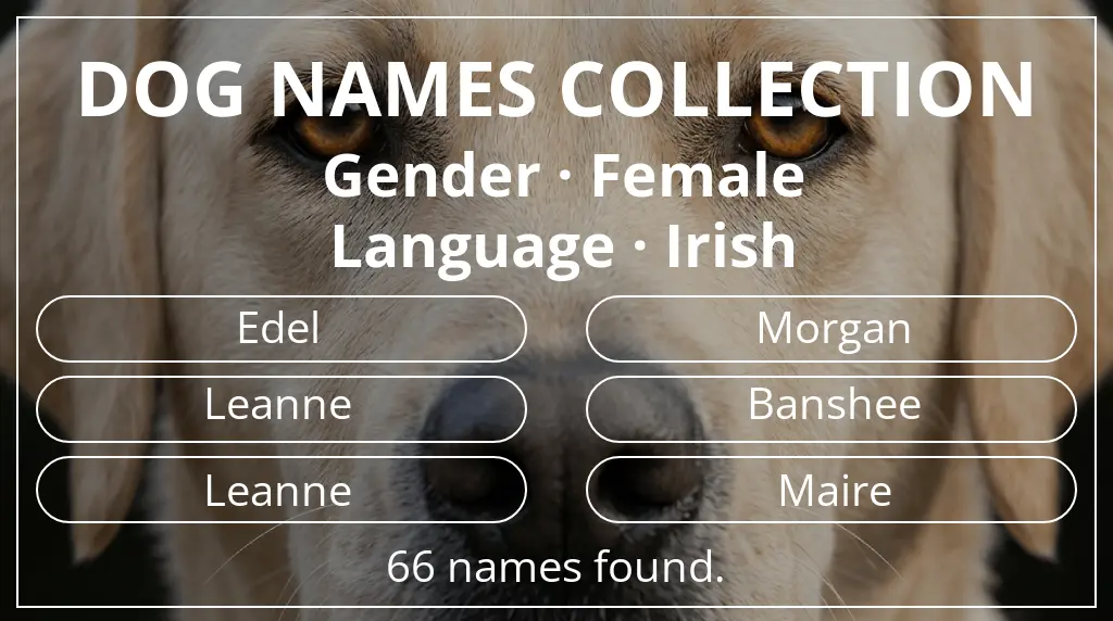 Names for dogs inspired by female gender and irish language