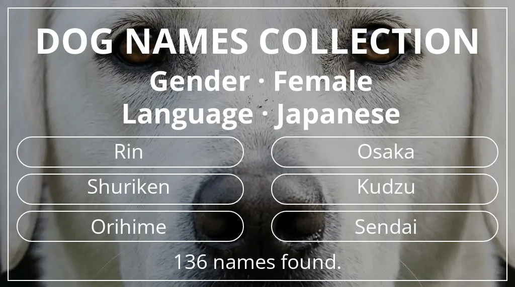 Dog names based on female gender and japanese language
