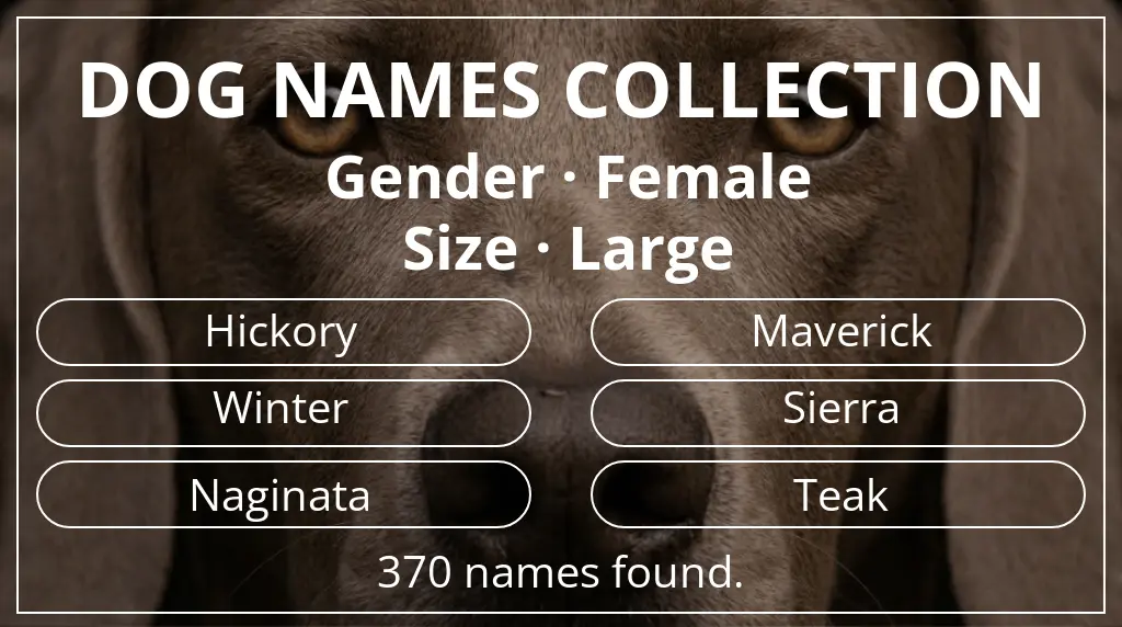 Names for dogs inspired by female gender and large size