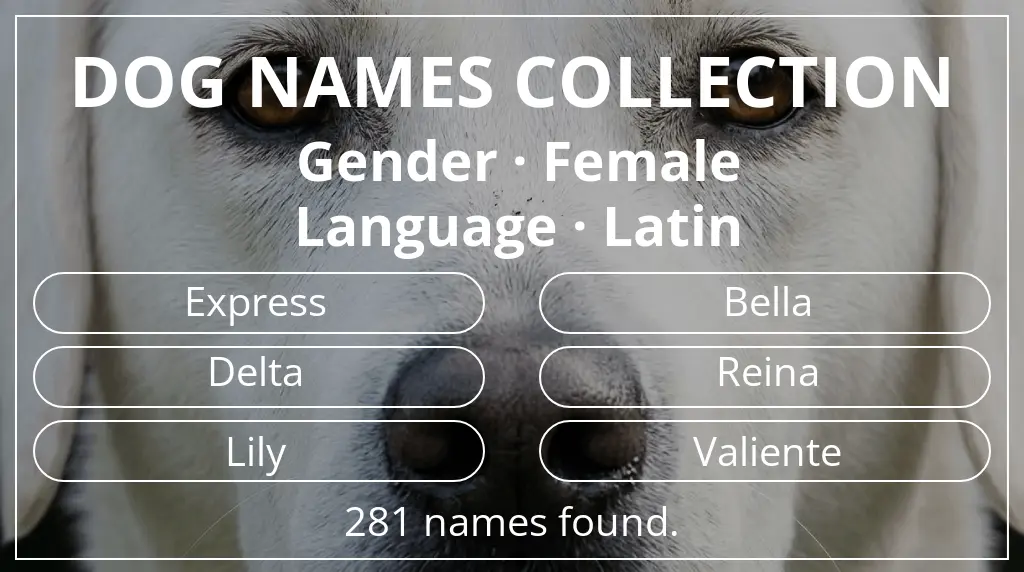 Dog names based on female gender and latin language