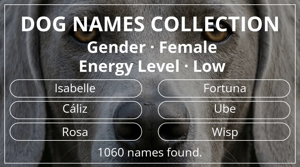 Dog names based on female gender and low energy level