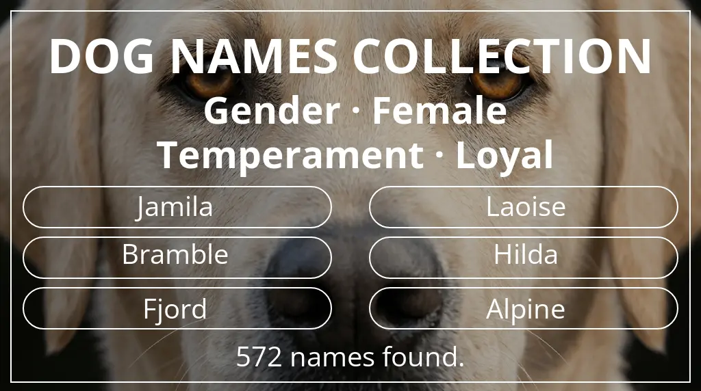 Names for dogs based on female gender and loyal temperament