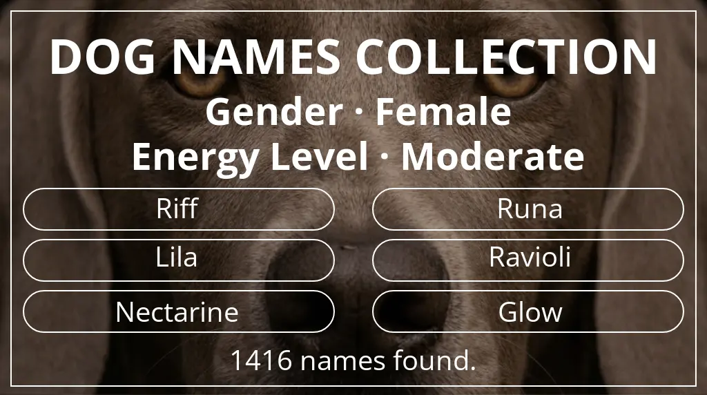 Dog names inspired by female gender and moderate energy level