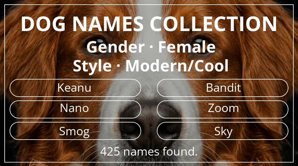 Names for dogs inspired by female gender and modern/cool style