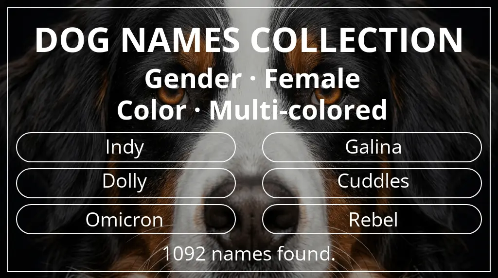 Dog names based on female gender and multi-colored color