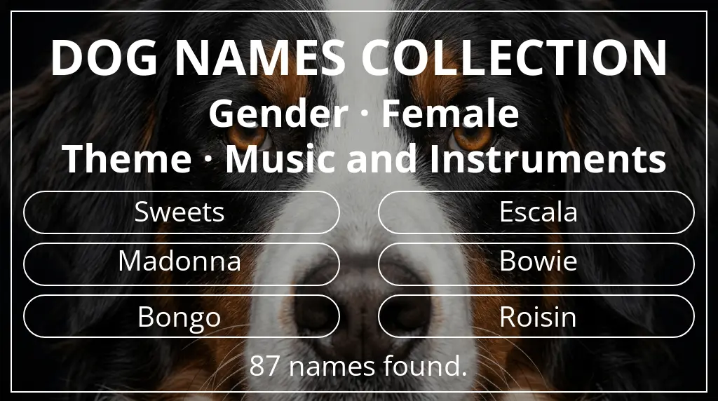 Names for dogs inspired by female gender and music and instruments theme