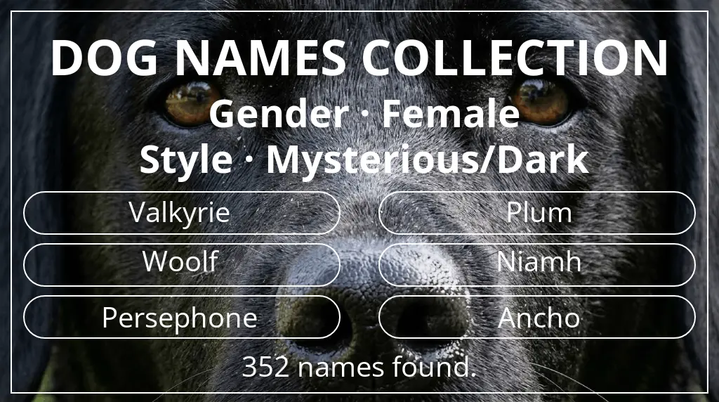 Dog names based on female gender and mysterious/dark style