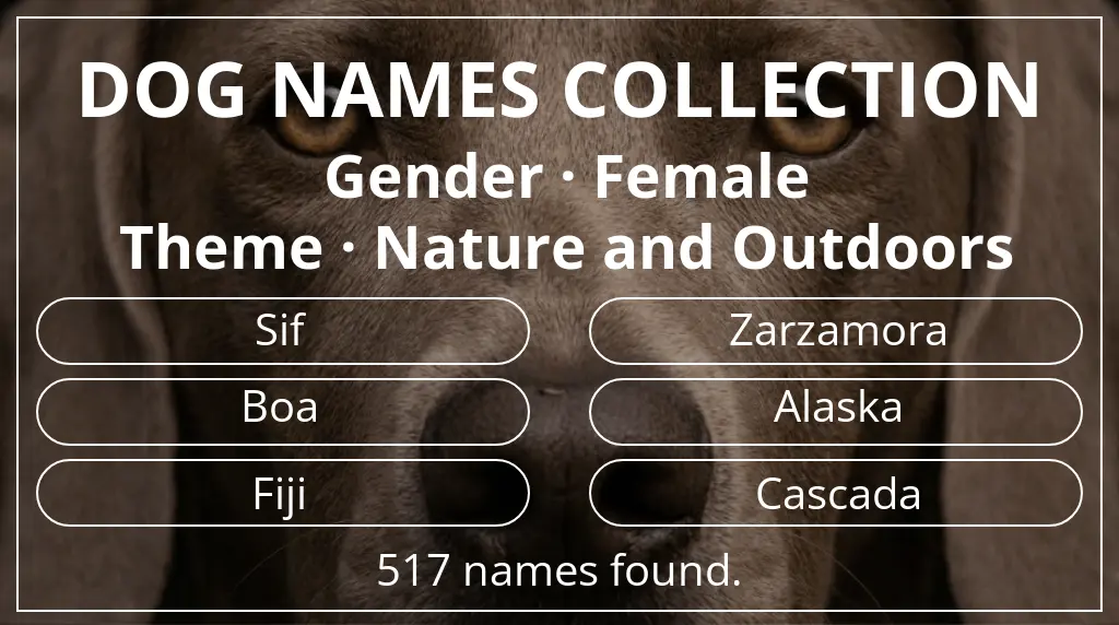 Dog names inspired by female gender and nature and outdoors theme