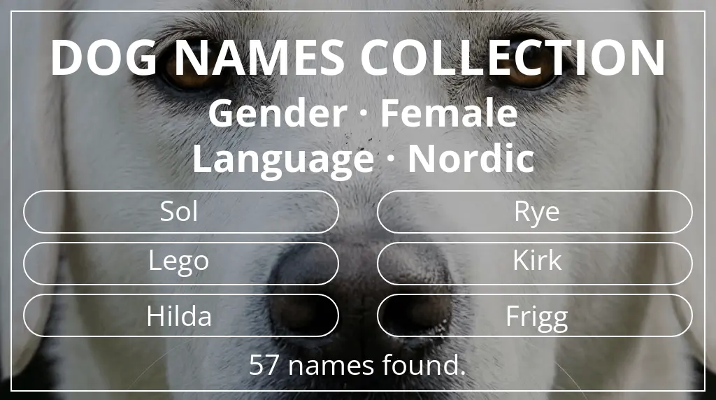 Names for dogs inspired by female gender and nordic language