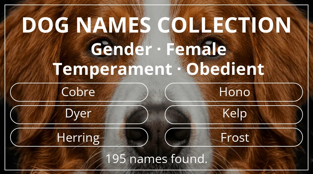 Names for dogs inspired by female gender and obedient temperament