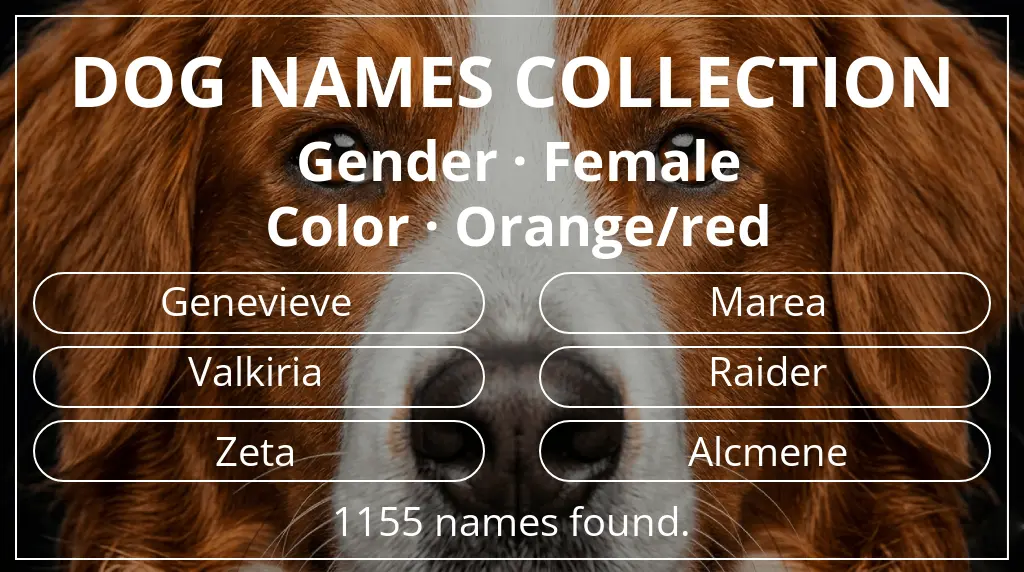 Dog names based on female gender and orange/red color