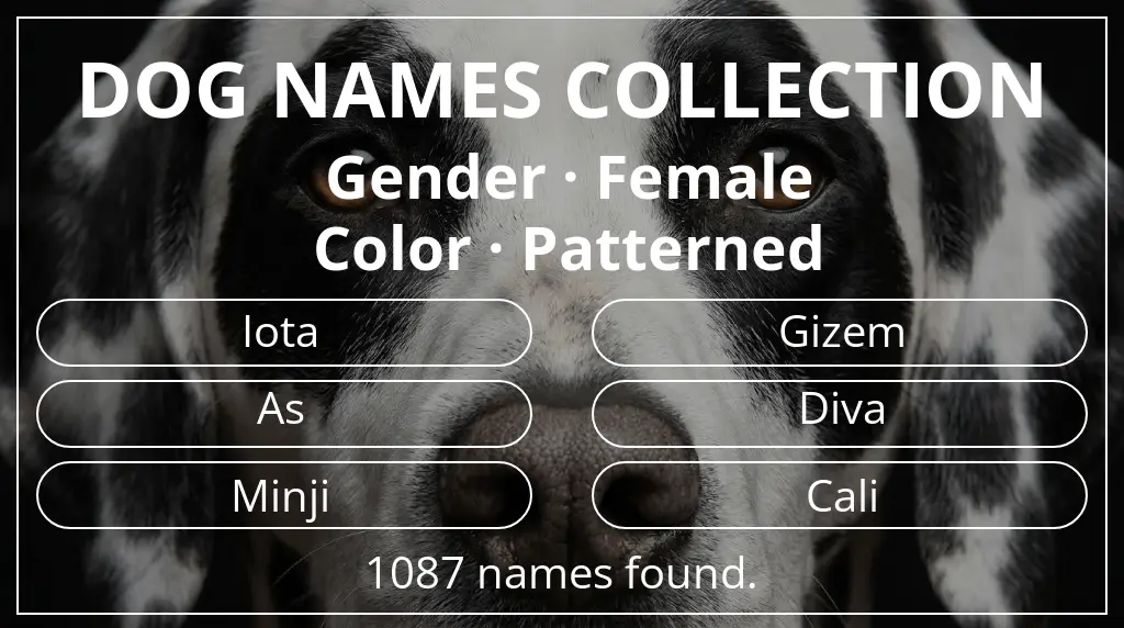 Names for dogs based on female gender and patterned color