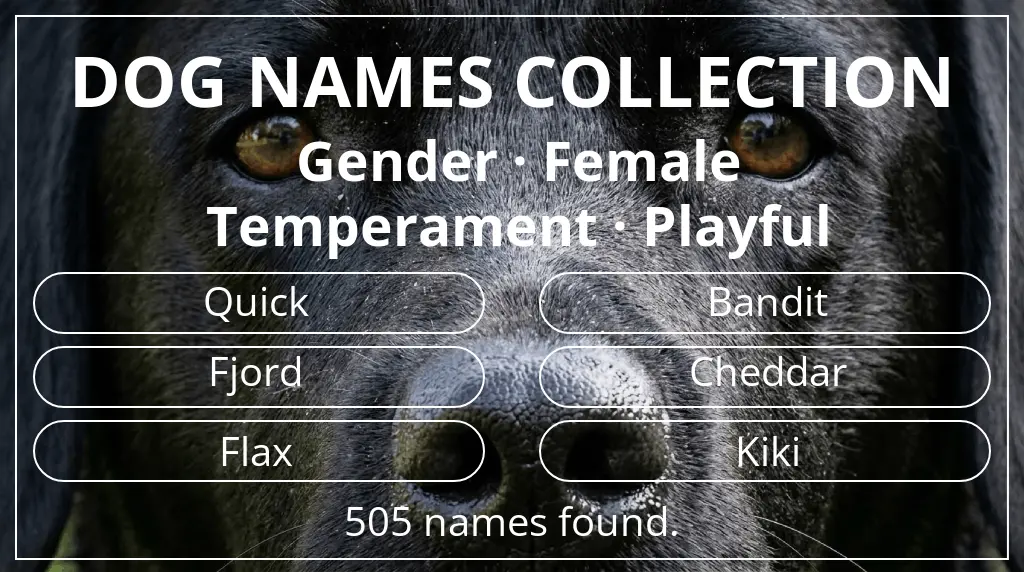 Dog names based on female gender and playful temperament