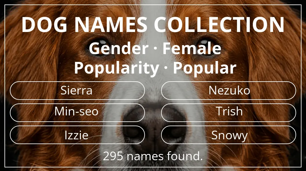 Names for dogs inspired by female gender and popular popularity