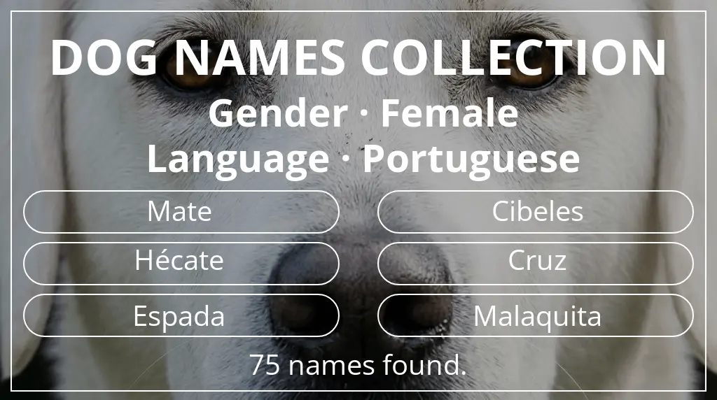 Dog names inspired by female gender and portuguese language