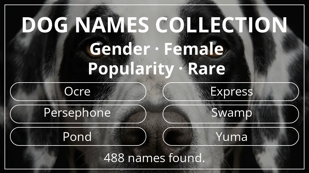 Dog names inspired by female gender and rare popularity