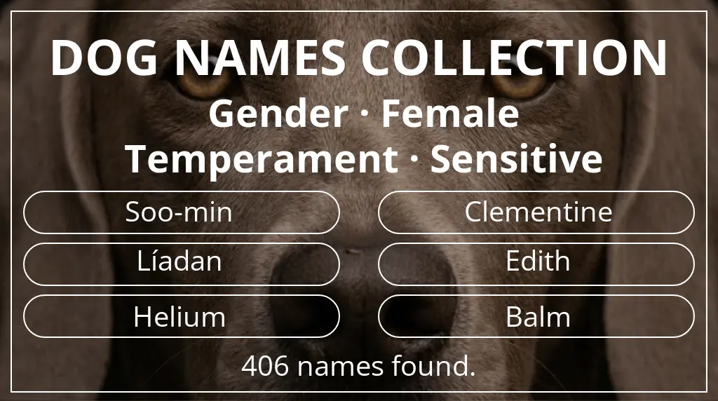 Names for dogs based on female gender and sensitive temperament