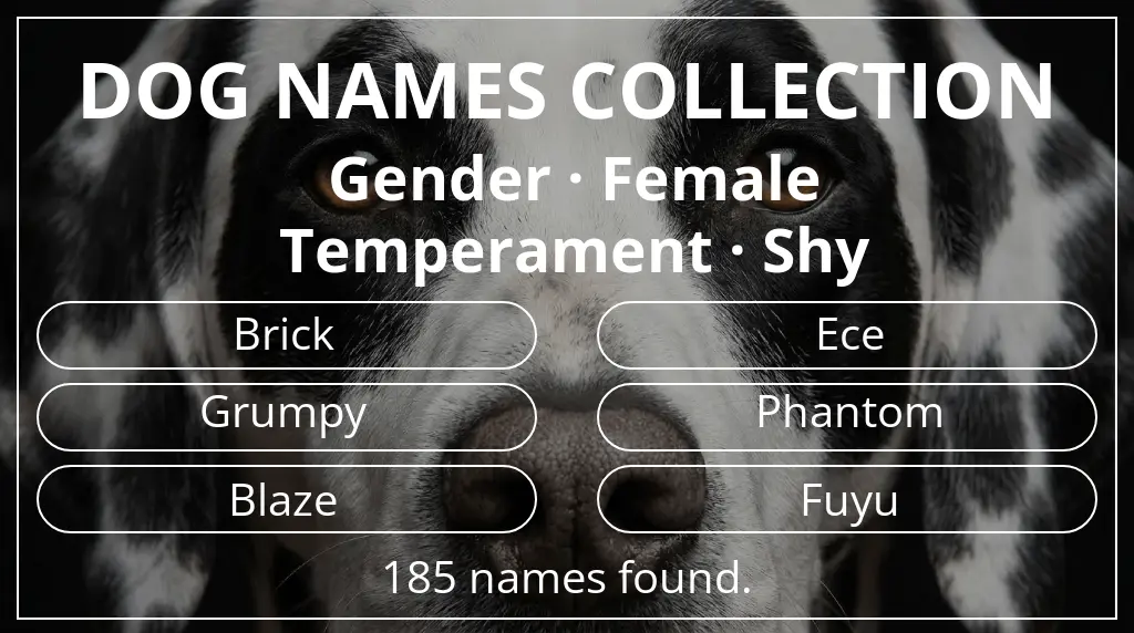 Names for dogs inspired by female gender and shy temperament