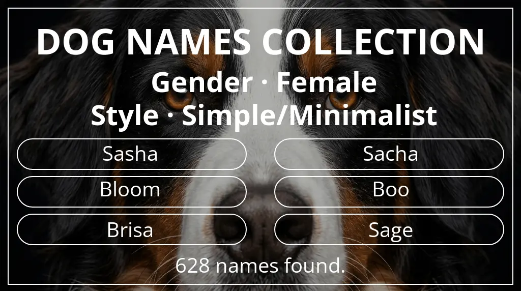 Dog names inspired by female gender and simple/minimalist style