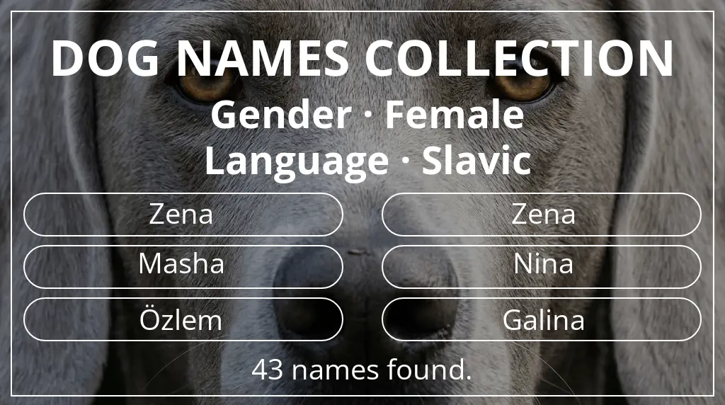 Names for dogs inspired by female gender and slavic language