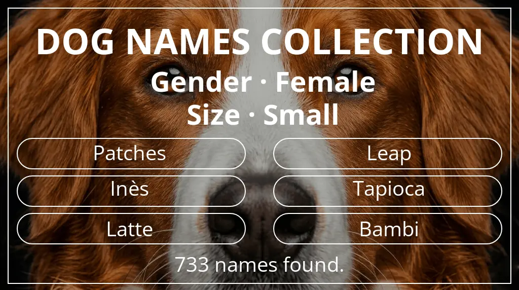 Dog names inspired by female gender and small size