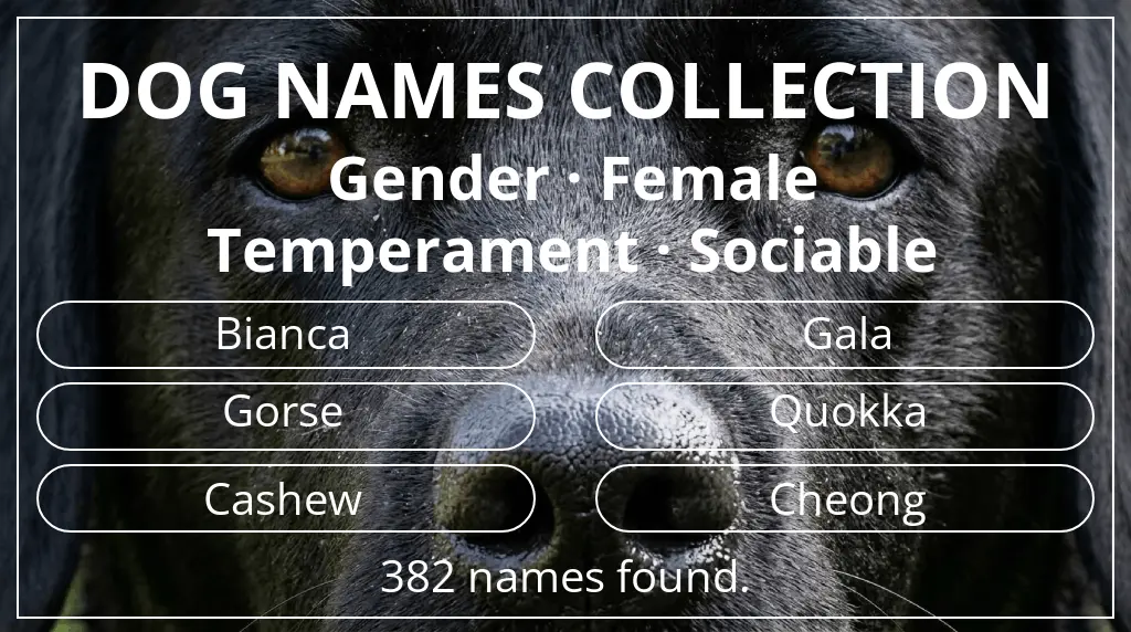 Dog names based on female gender and sociable temperament