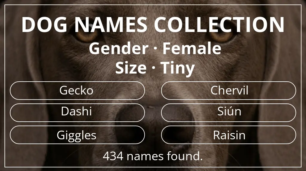 Names for dogs based on female gender and tiny size