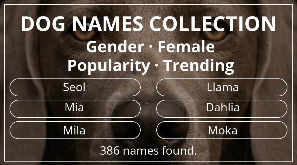 Dog names inspired by female gender and trending popularity