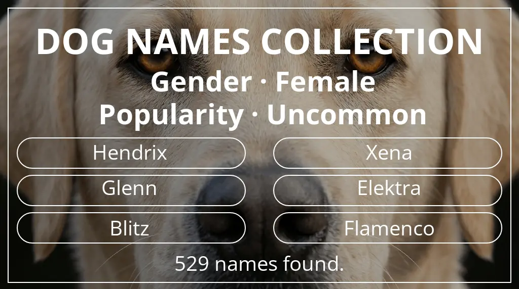 Dog names inspired by female gender and uncommon popularity