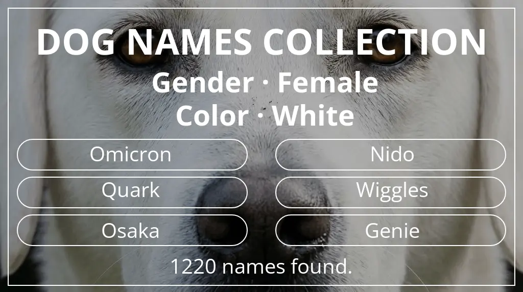 Dog names inspired by female gender and white color