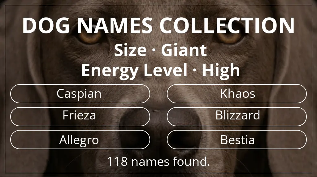 Names for dogs inspired by giant size and high energy level