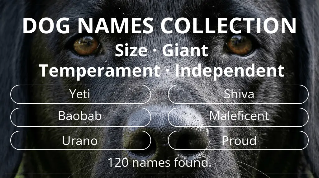 Names for dogs based on giant size and independent temperament