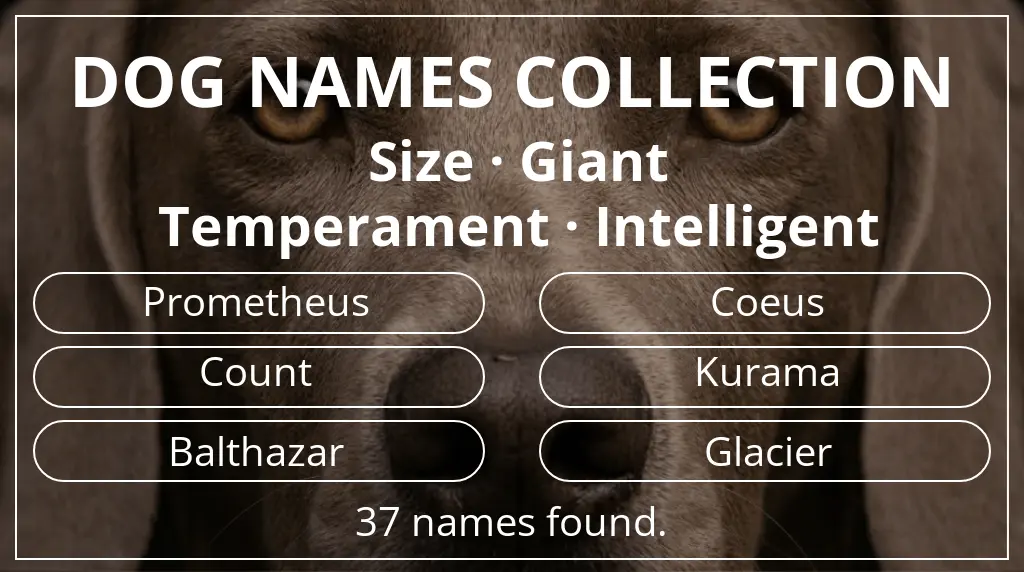 Dog names inspired by giant size and intelligent temperament
