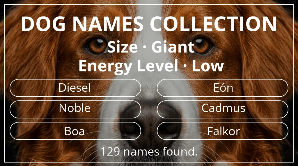 Dog names based on giant size and low energy level
