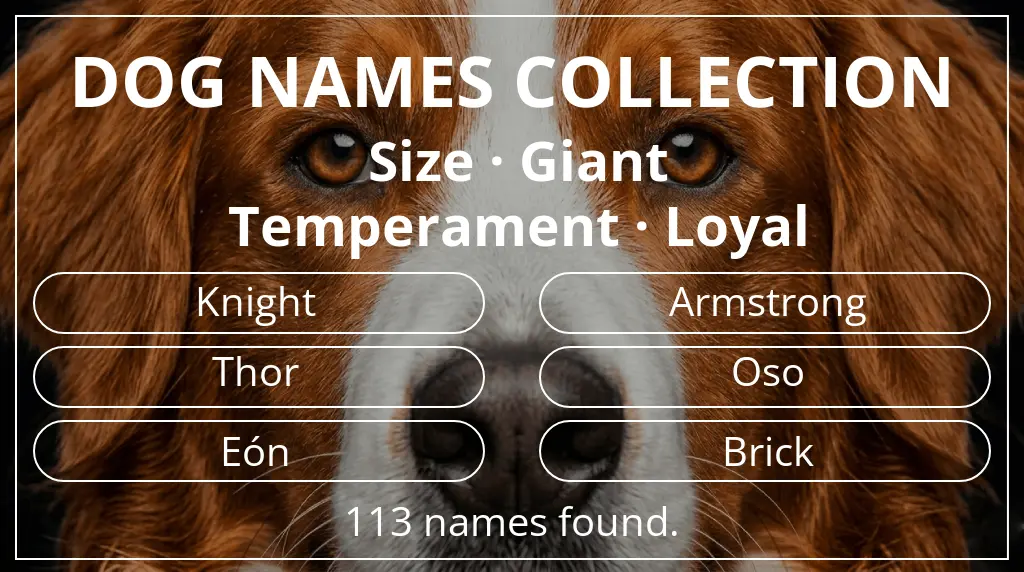 Dog names inspired by giant size and loyal temperament