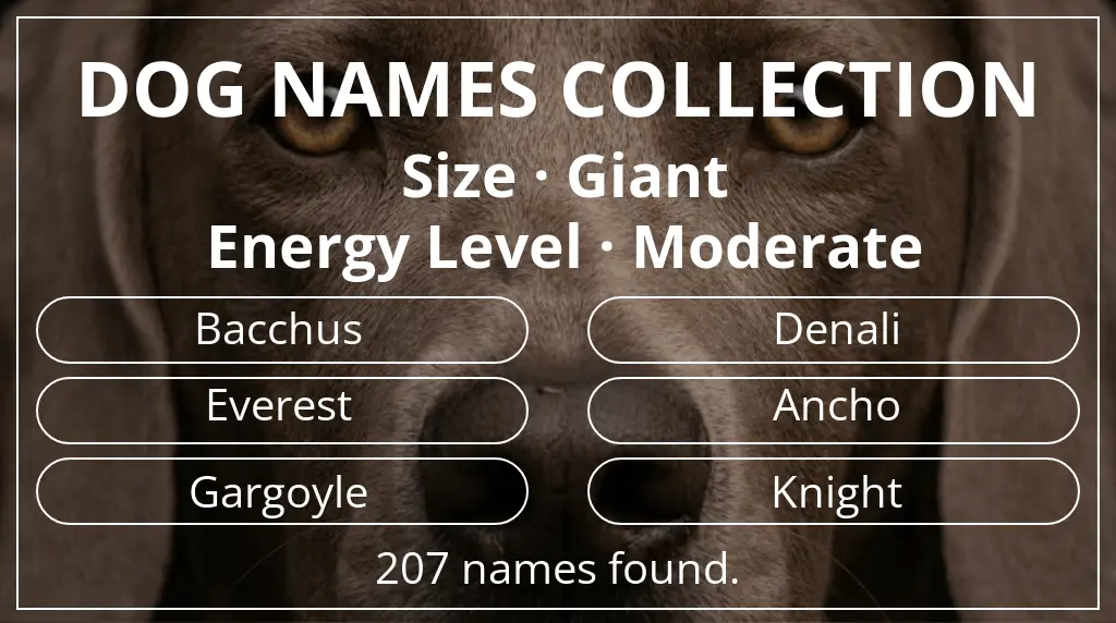 Names for dogs inspired by giant size and moderate energy level