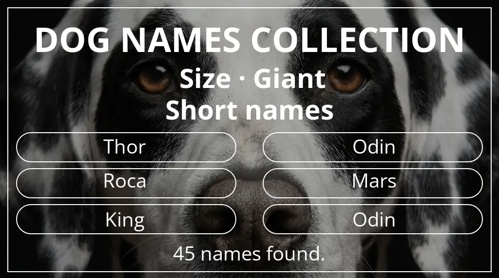 Dog names inspired by giant size and short (2–4) name length
