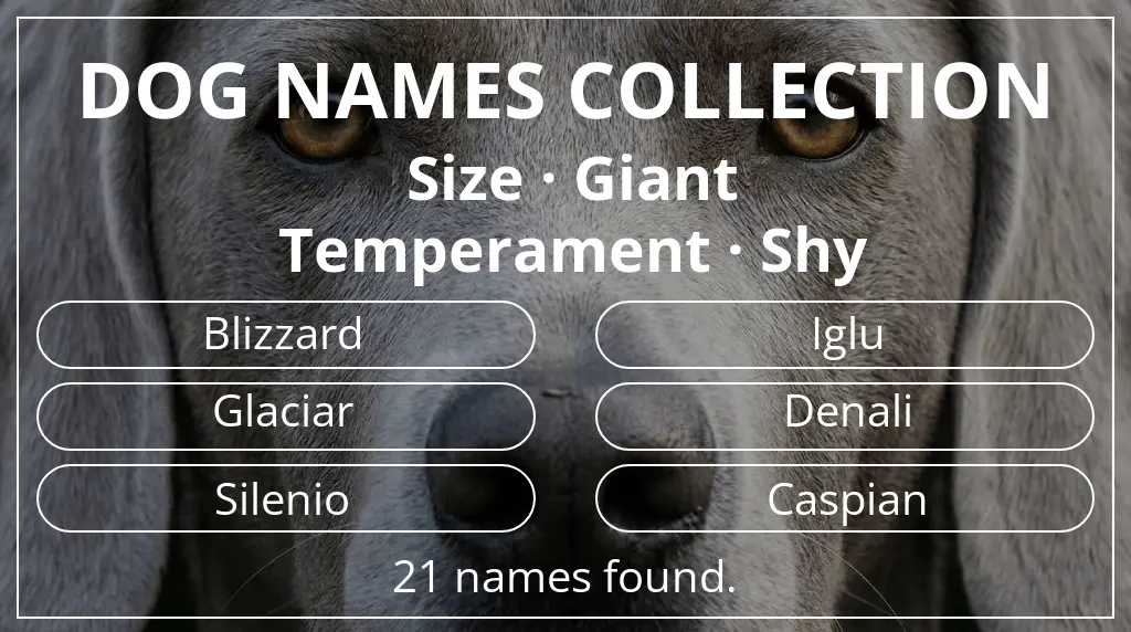 Dog names inspired by giant size and shy temperament