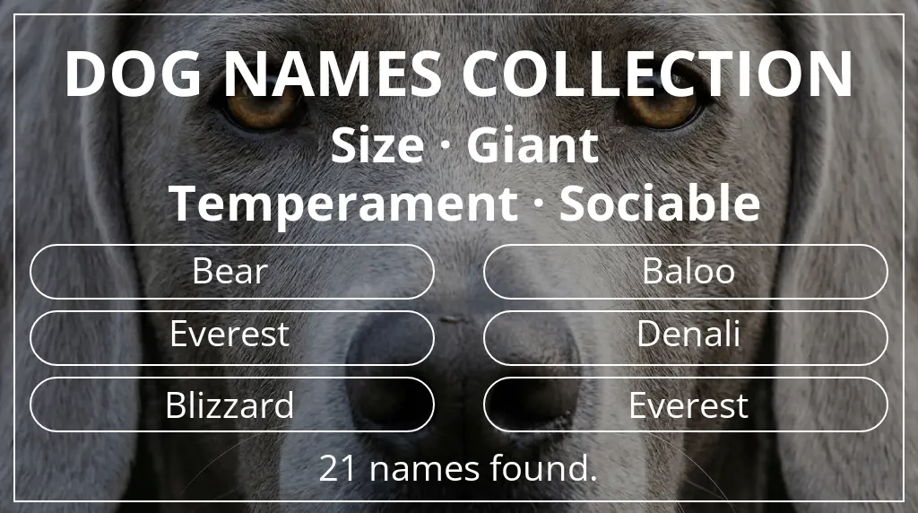 Dog names based on giant size and sociable temperament