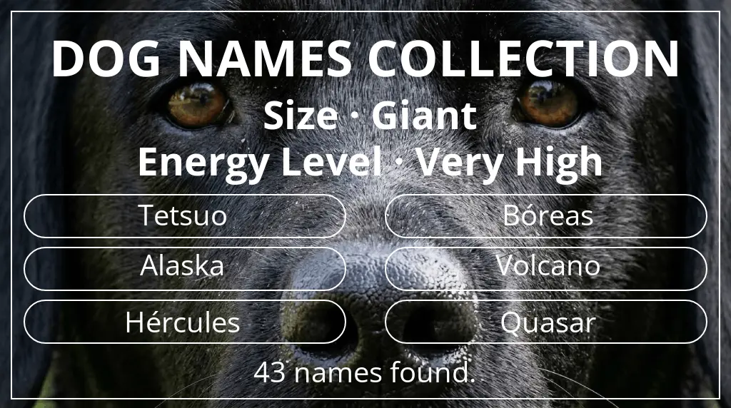 Names for dogs based on giant size and very high energy level