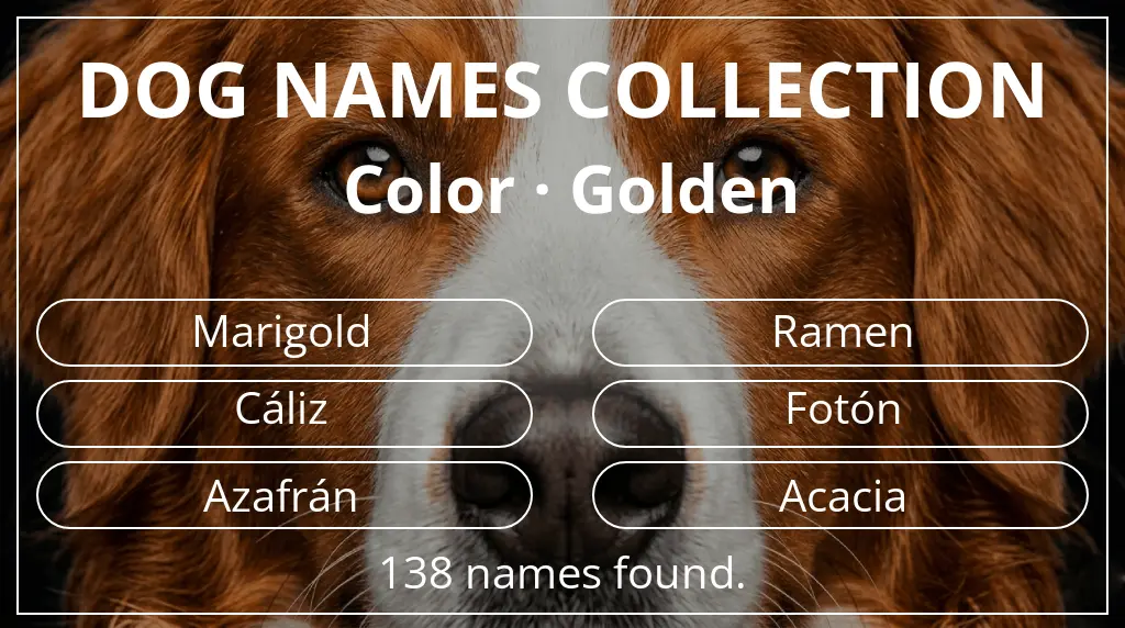 Dog names inspired by golden color