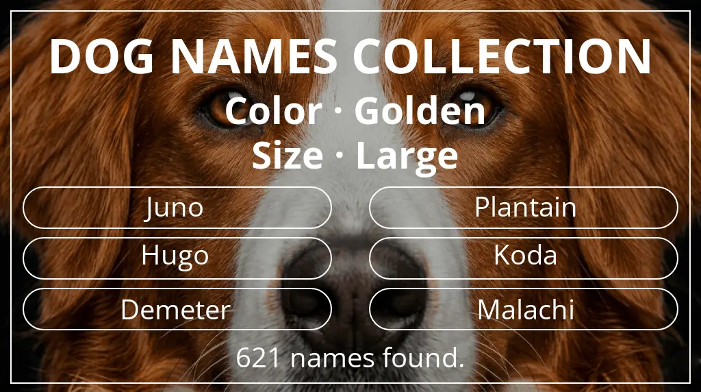 Dog names based on golden color and large size