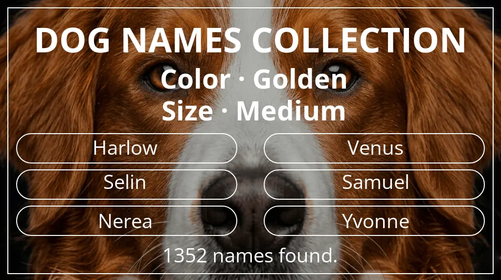 Dog names based on golden color and medium size